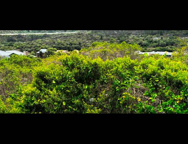 LAND FOR SALE IN DOLPHIN CREEK GOLF ESTATE